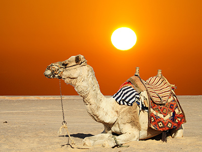 4 Days Package Dubai